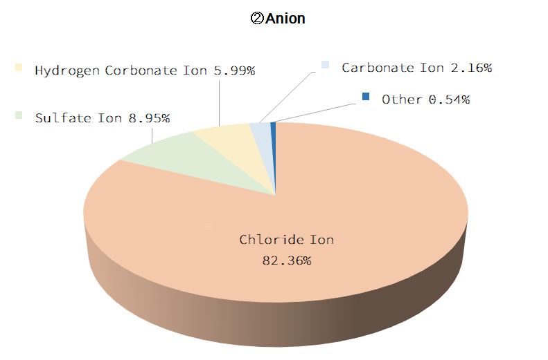 Anion Graphs