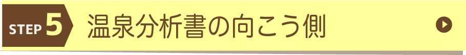 温泉分析書の向こう側