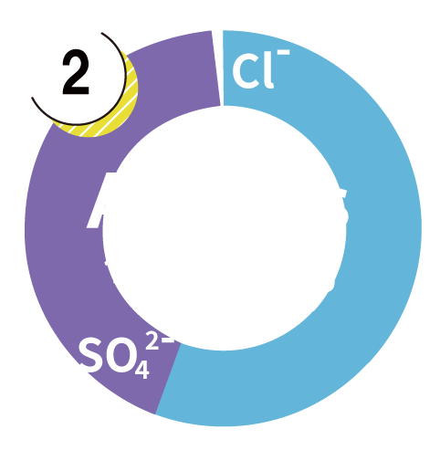 Anion Graphs