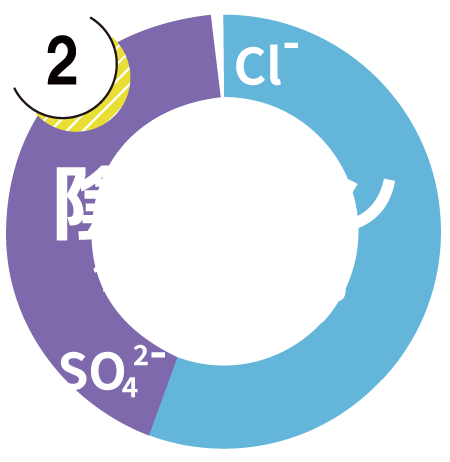 陰イオングラフ