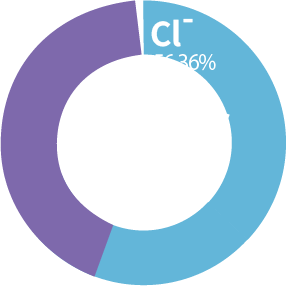 Anion Graphs 1