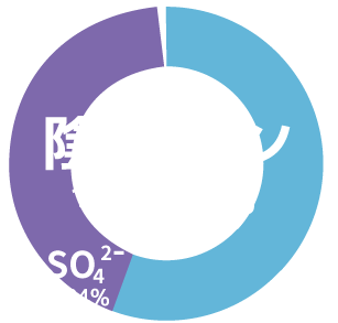 陰イオングラフ