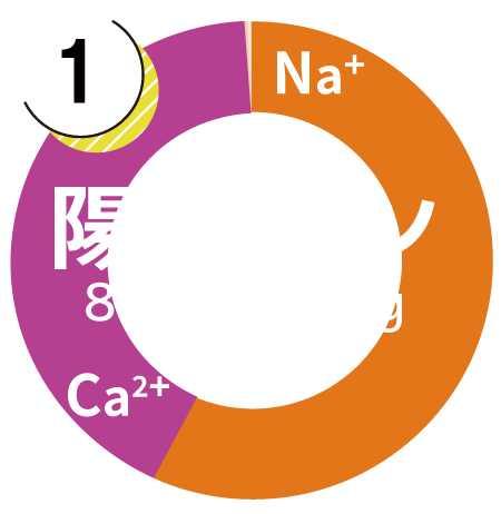 陽イオングラフ