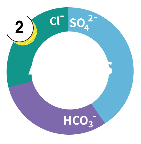 Anion Graphs