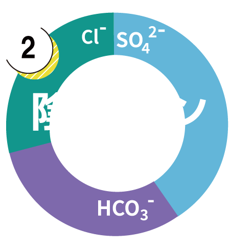 陰イオングラフ