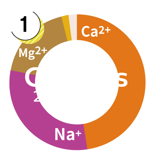 Cation Graphs