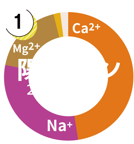 陽イオングラフ