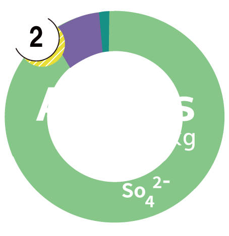 Anion Graphs