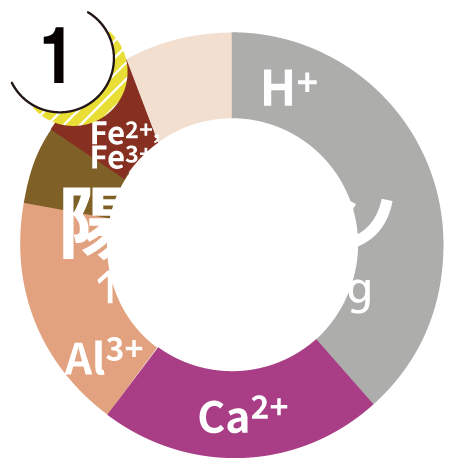 陽イオングラフ