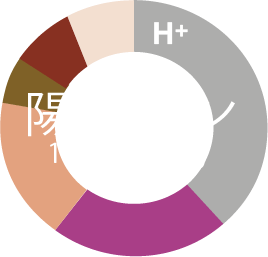陽イオングラフ