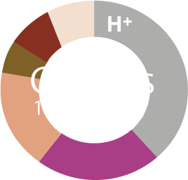 Cation Graphs