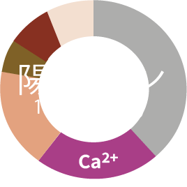 陽イオングラフ