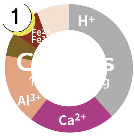 Cation Graphs