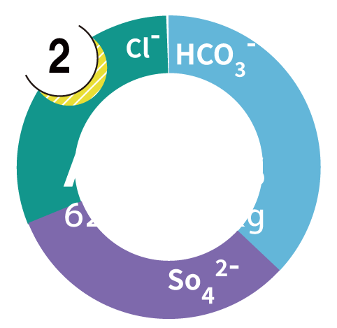 Anion Graphs
