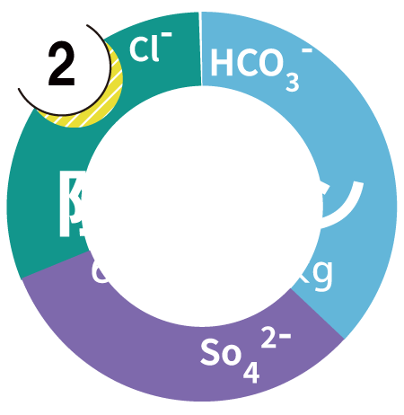 陰イオングラフ