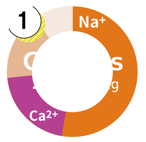 Cation Graphs