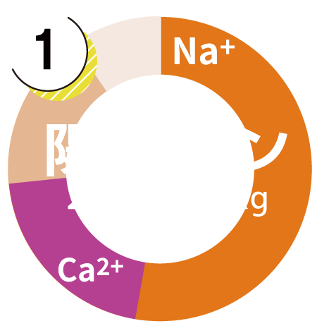 陽イオングラフ
