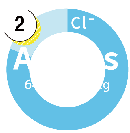 Anion Graphs