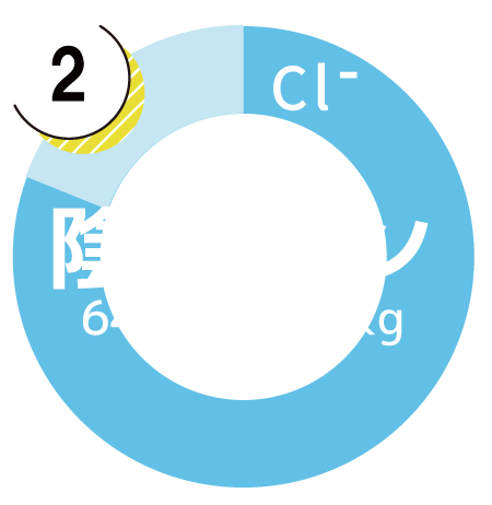 陰イオングラフ