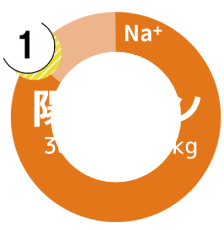 陽イオングラフ