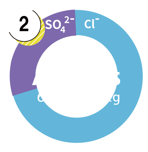 Anion Graphs