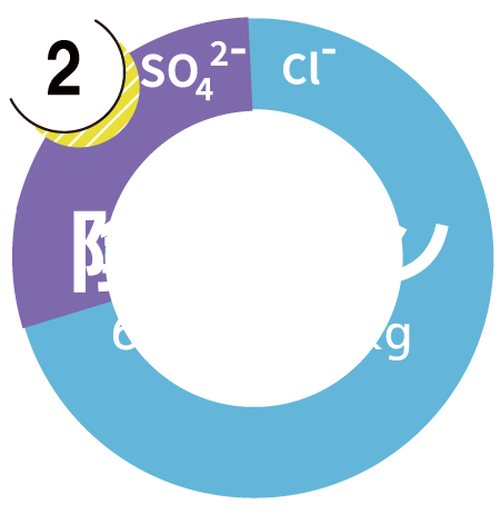 陰イオングラフ