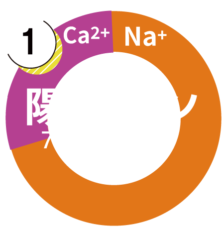 陽イオングラフ