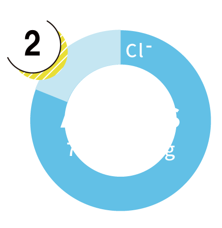 Anion Graphs