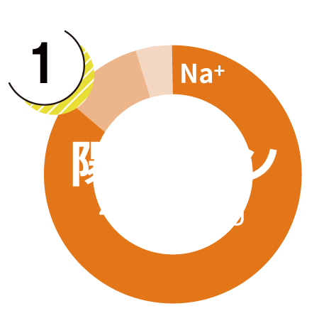 陽イオングラフ