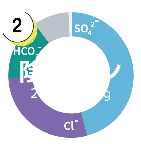陰イオングラフ