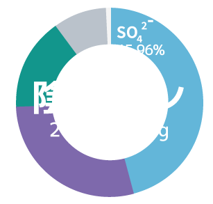 陰イオングラフ