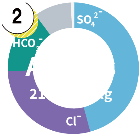 Anion Graphs