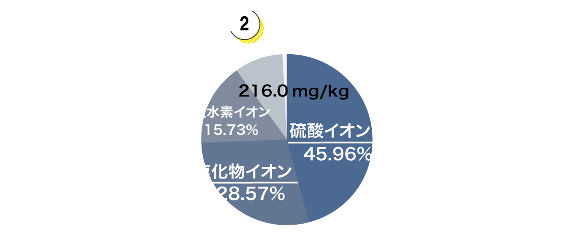 陰イオングラフ