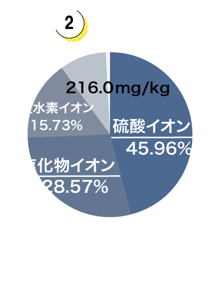 陰イオングラフ