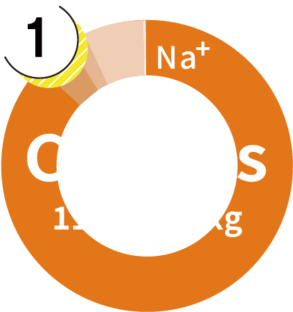 Cation Graphs