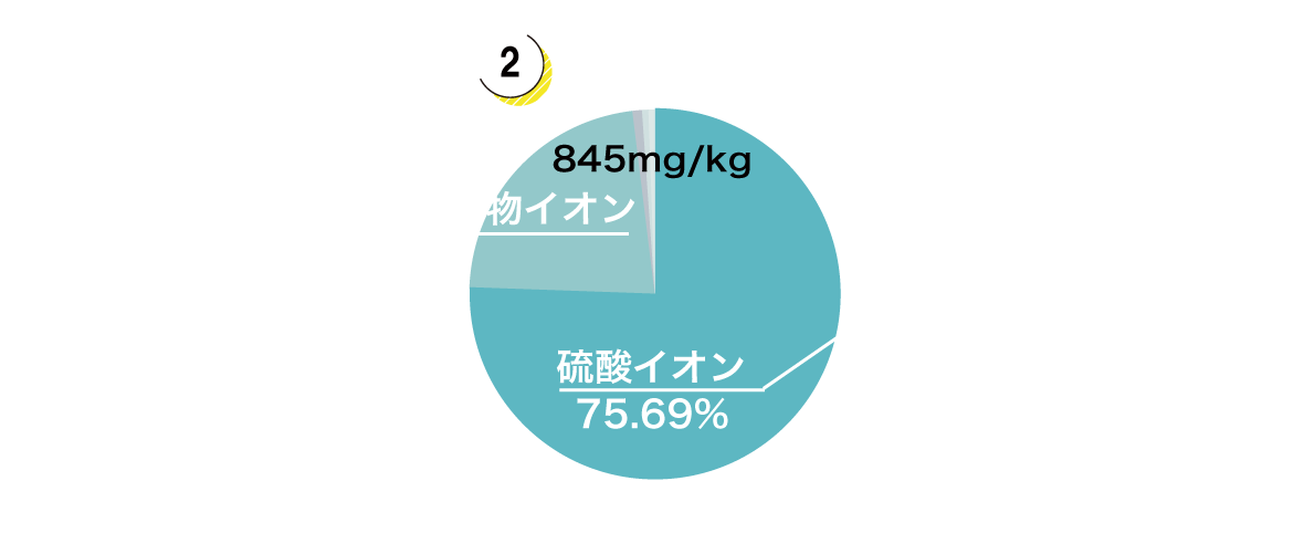 陰イオングラフ