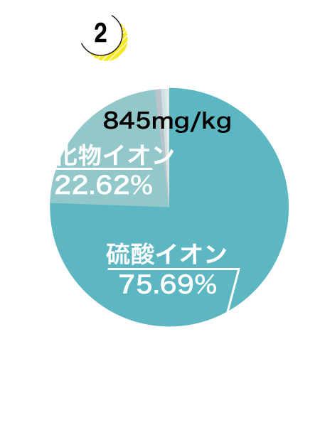 陰イオングラフ