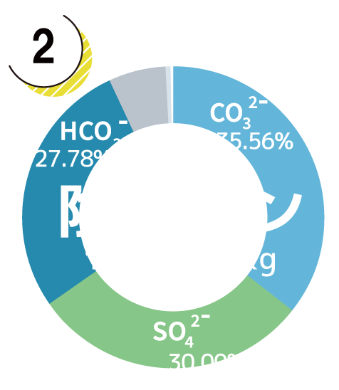陰イオングラフ