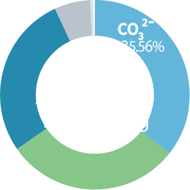 Anion Graphs
