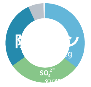 陰イオングラフ