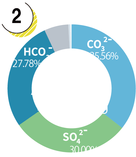 Anion Graphs