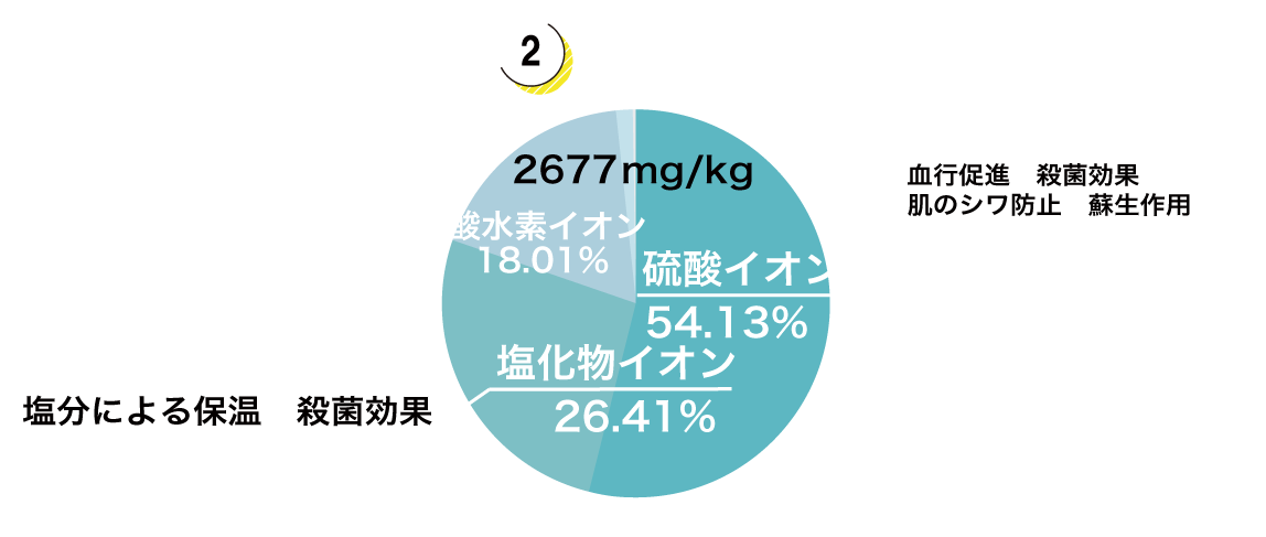 陰イオングラフ