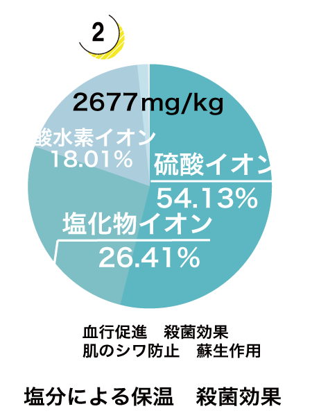 陰イオングラフ