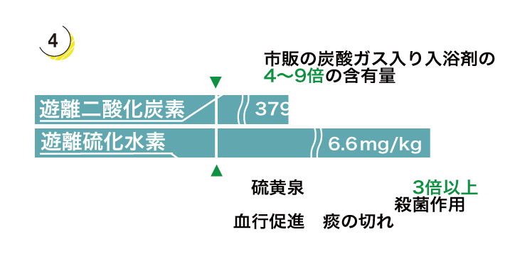 溶存ガス成分