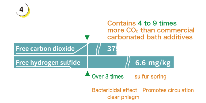 Dissolved Gas Components
